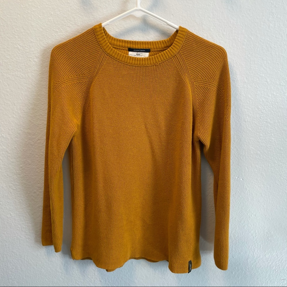 Zara mustard swester